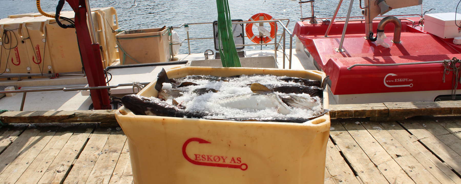 Fiskekar og utstyr i lagerhall