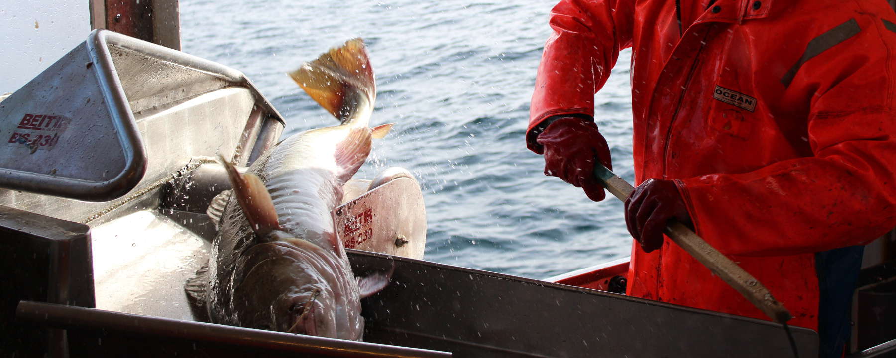 Fiskekar og utstyr på kaia